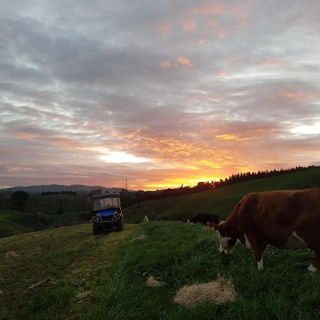 Above The River Karapiro Bed & Breakfast Esterno foto