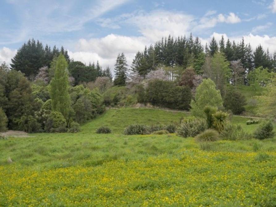 Above The River Karapiro Bed & Breakfast Esterno foto