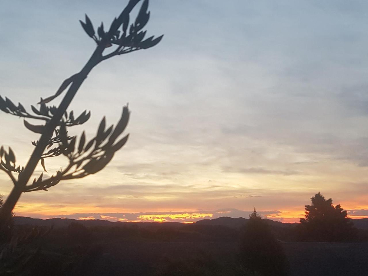 Above The River Karapiro Bed & Breakfast Esterno foto