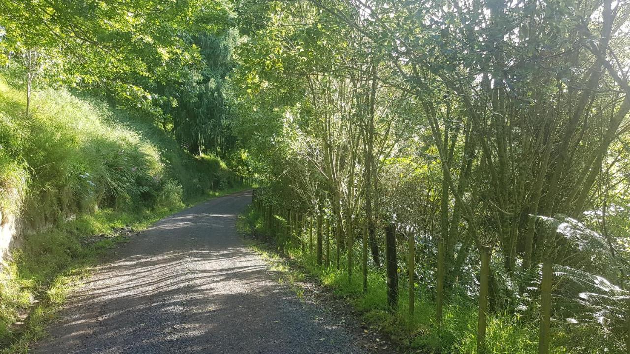 Above The River Karapiro Bed & Breakfast Esterno foto
