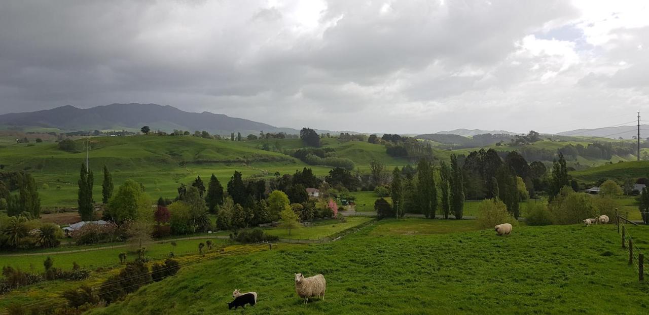 Above The River Karapiro Bed & Breakfast Esterno foto